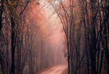 CBA｜客场不敌浙江 北京北汽缺兵少将状态低迷.