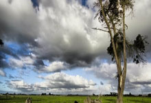 完美体育官网：战术板｜伊万错用黄政宇，国足输球责任他和王大雷一人一半.