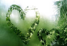 [体坛零距离]崔登荣：其实张雨霏还是想退缩.