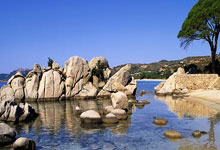 [欧冠]大巴黎胜莱比锡 马竞不敌利物浦.